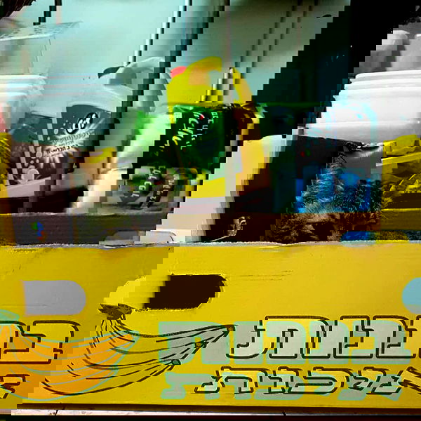 yam_adler image ~ Altpins