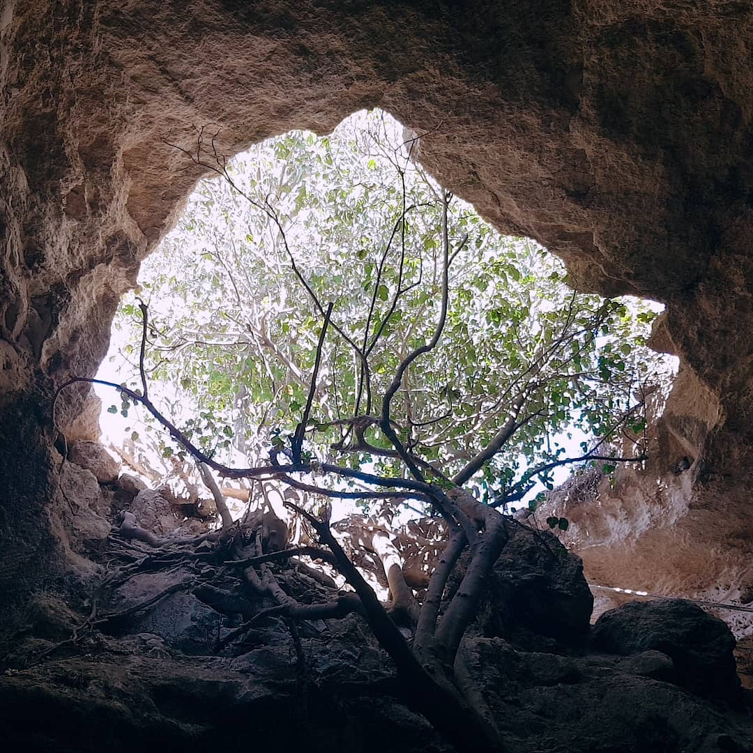 yam_adler instagram image archive image