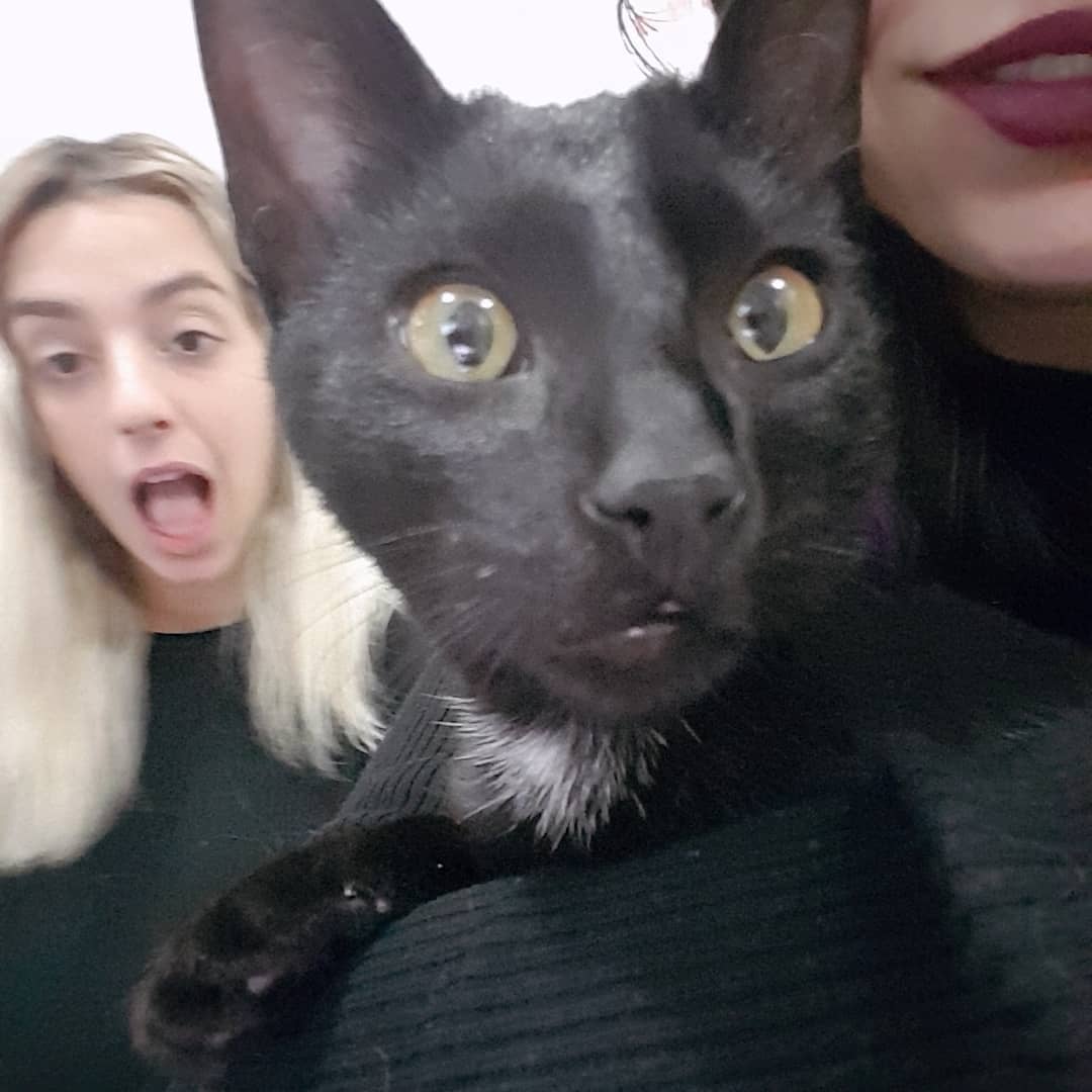 yam_adler instagram image archive image