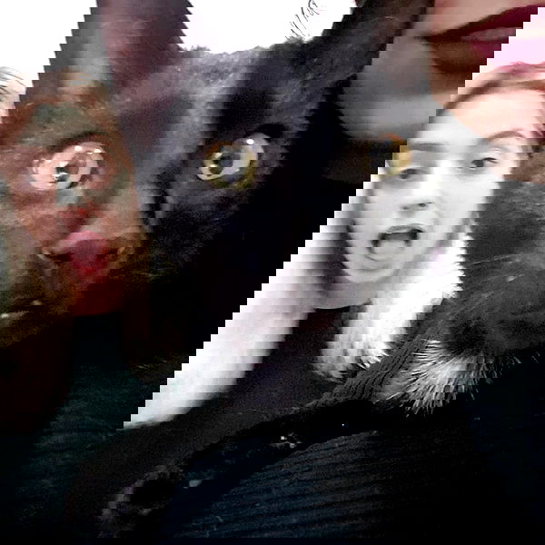 yam_adler image ~ Altpins