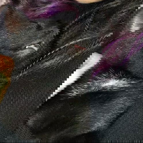 yam_adler instagram image archive image