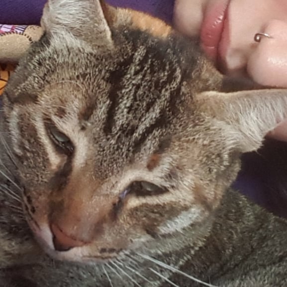 yam_adler instagram image archive image