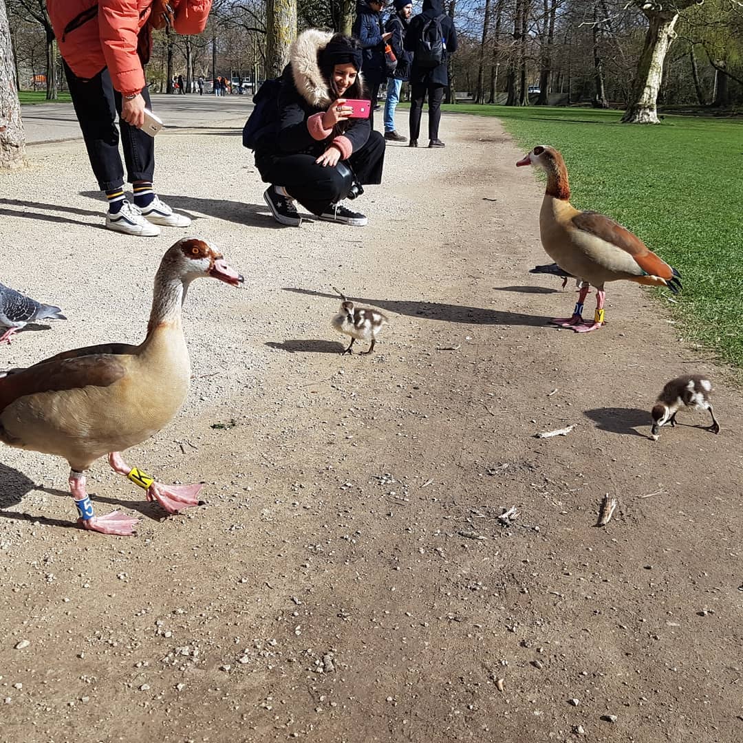 yam_adler instagram image archive image