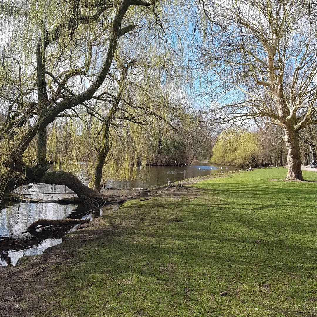 yam_adler instagram image archive image