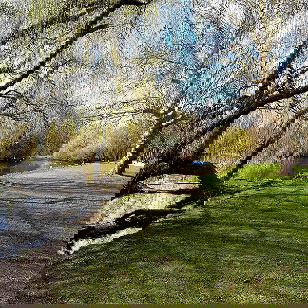 yam_adler image ~ Altpins