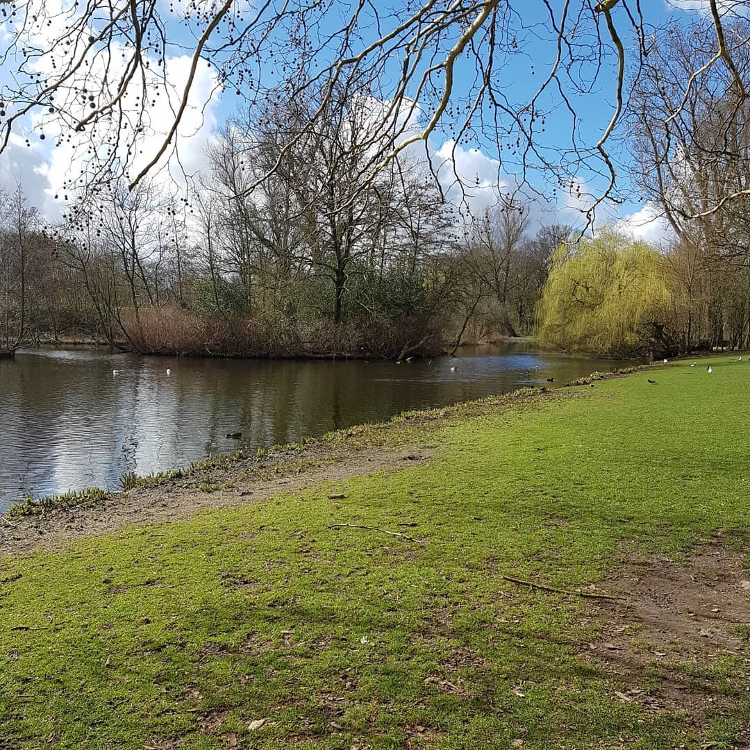 yam_adler instagram image archive image