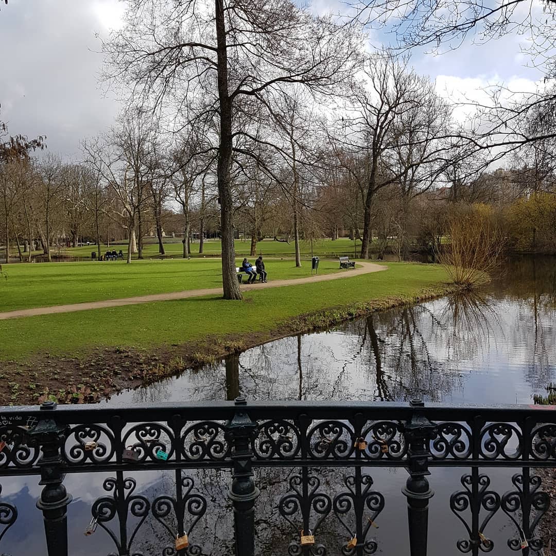 yam_adler instagram image archive image