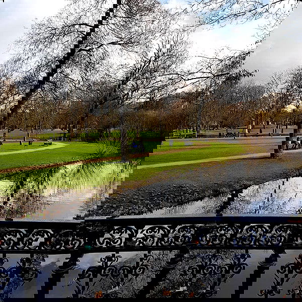 yam_adler image ~ Altpins