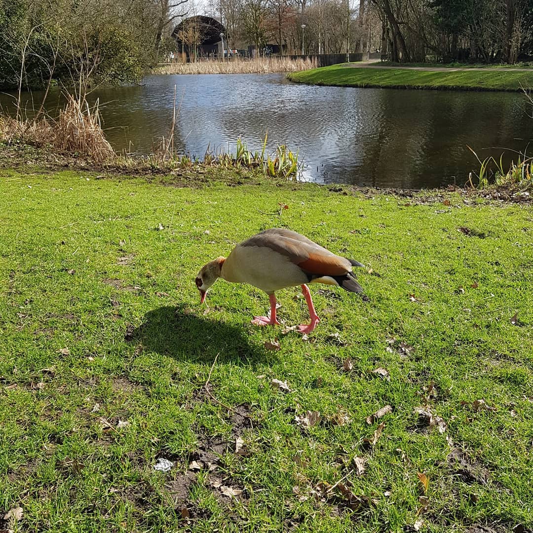 yam_adler instagram image archive image