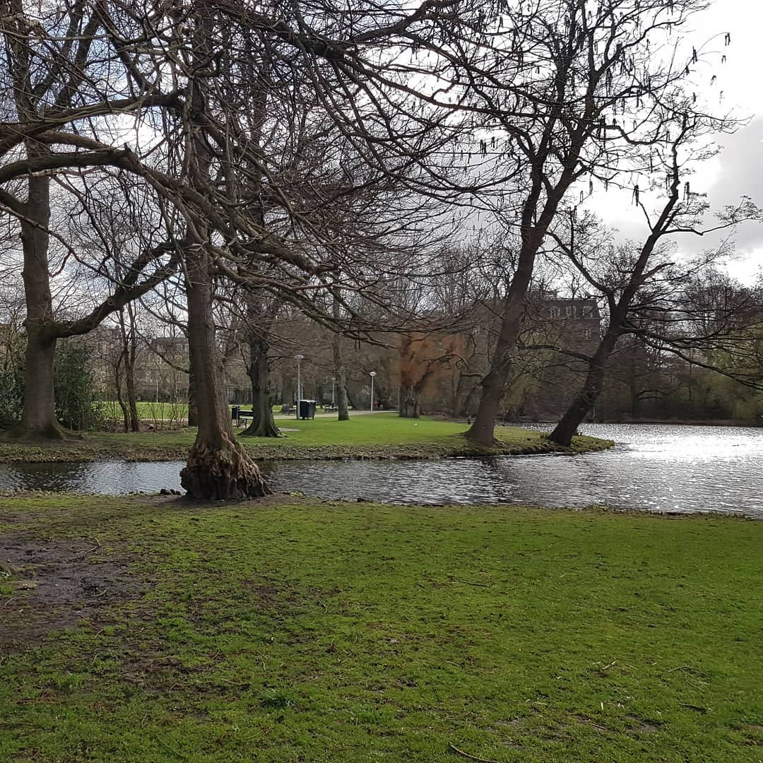 yam_adler instagram image archive image