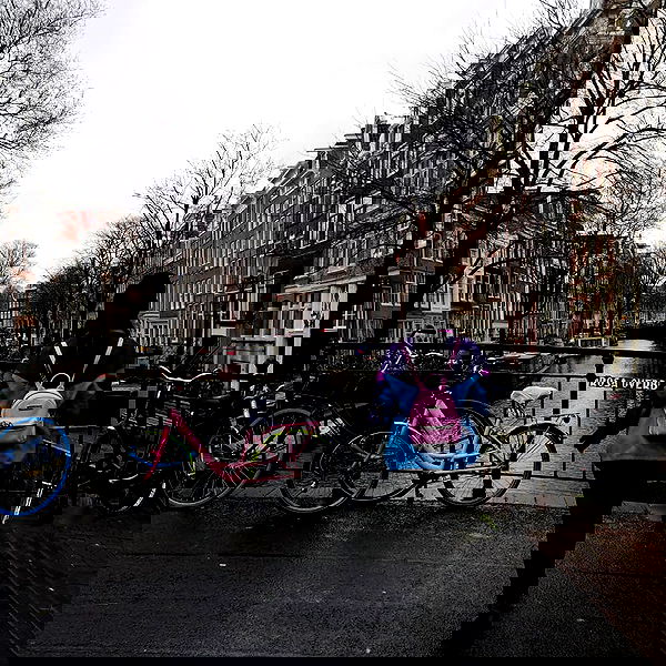 yam_adler image ~ Altpins