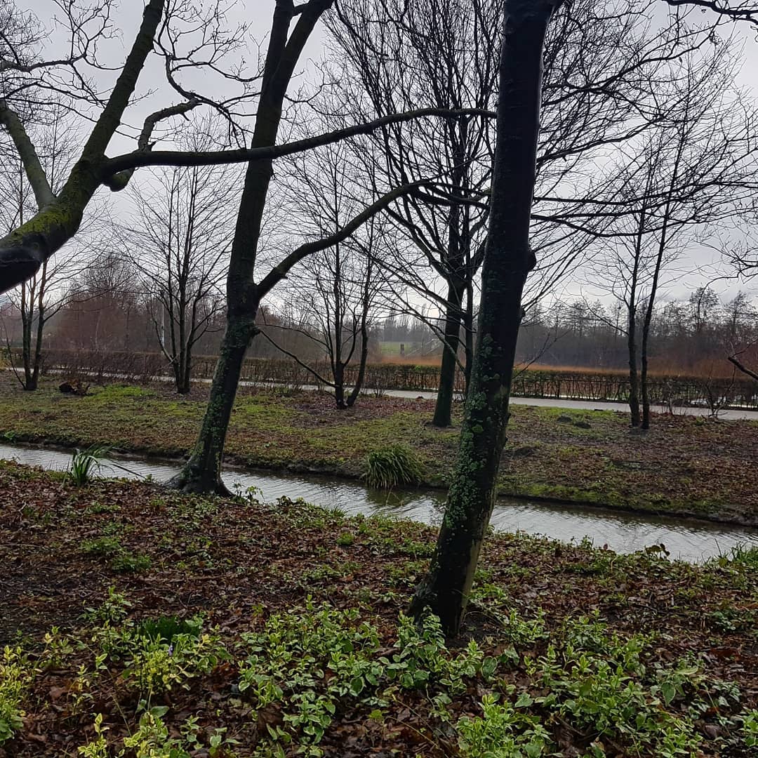 yam_adler instagram image archive image