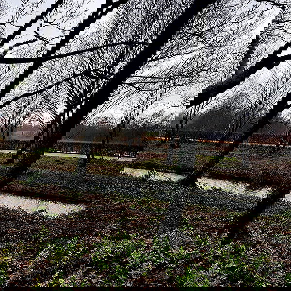 yam_adler image ~ Altpins