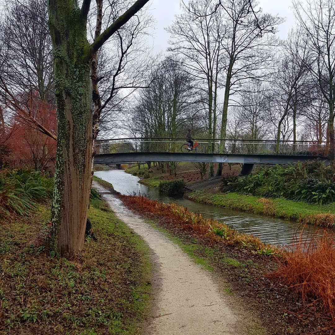 yam_adler instagram image archive image