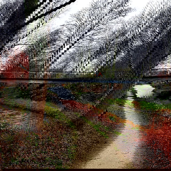 yam_adler image ~ Altpins