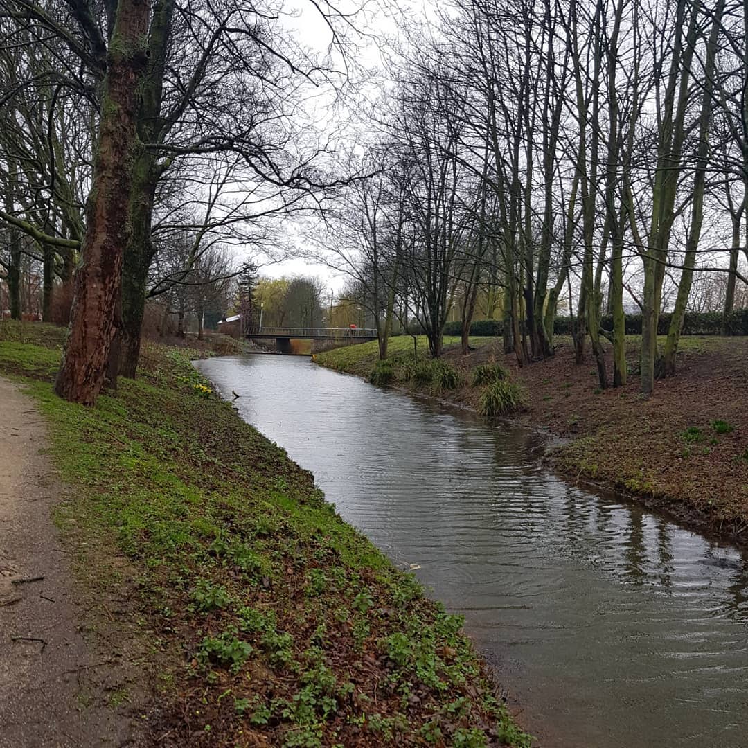 yam_adler instagram image archive image