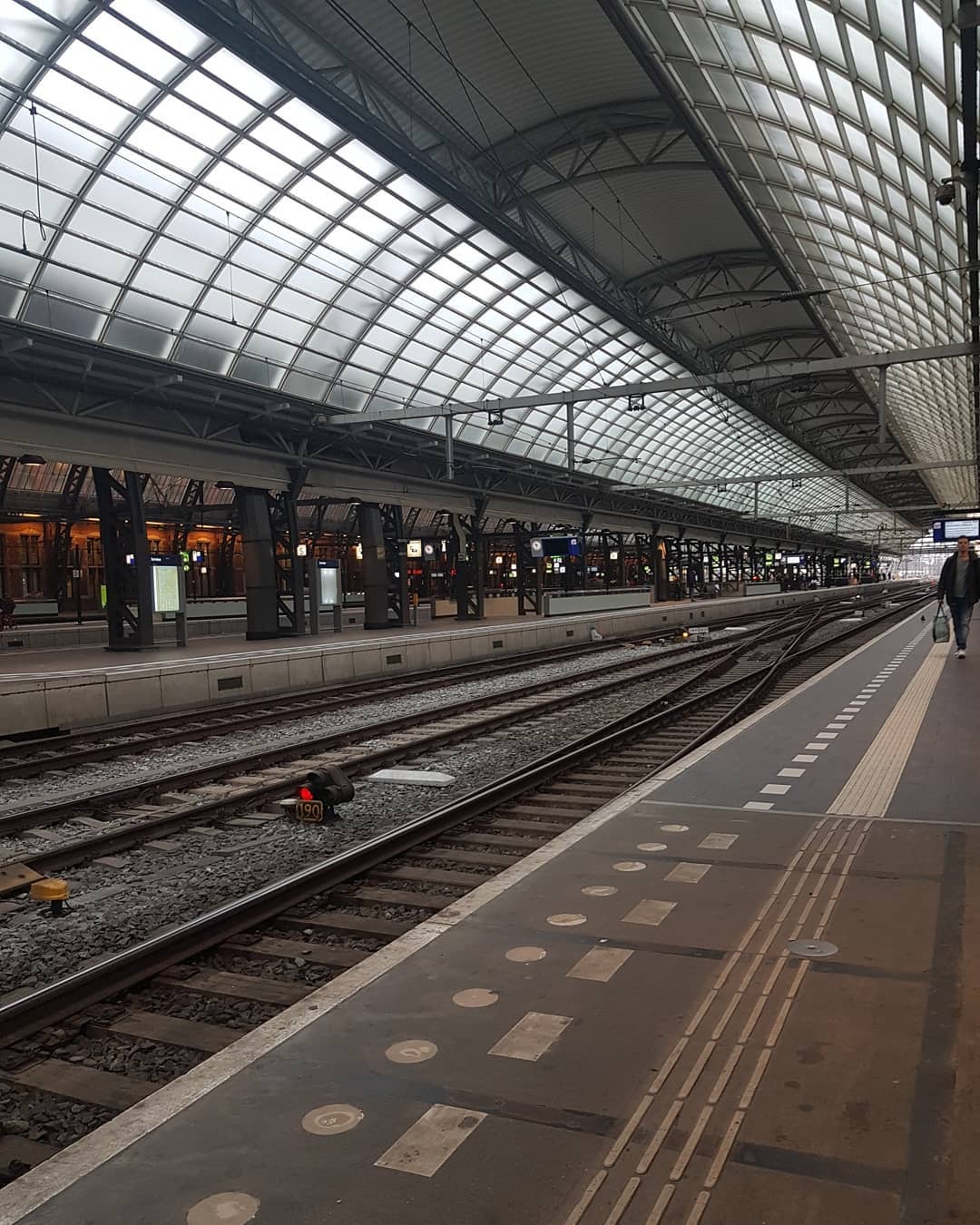 yam_adler instagram image archive image