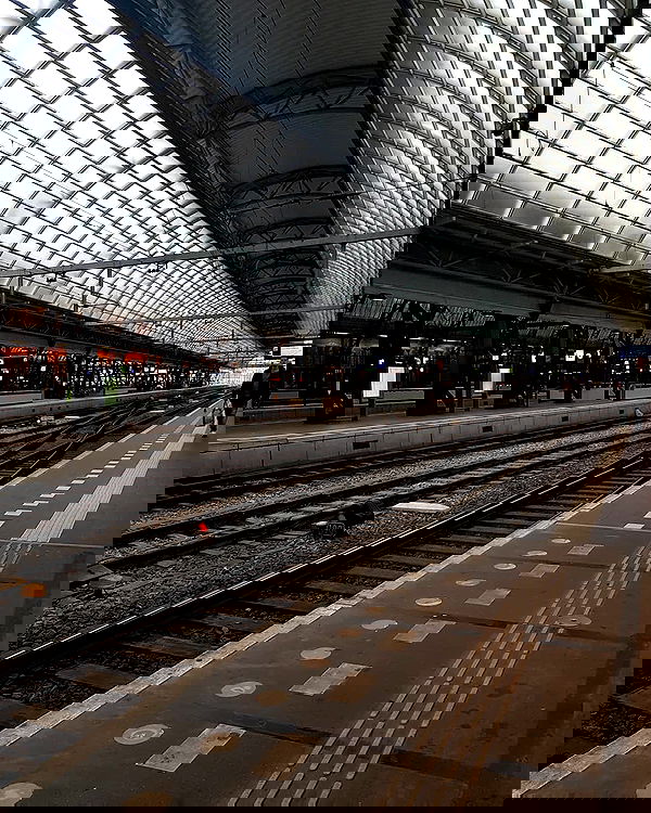 yam_adler image ~ Altpins