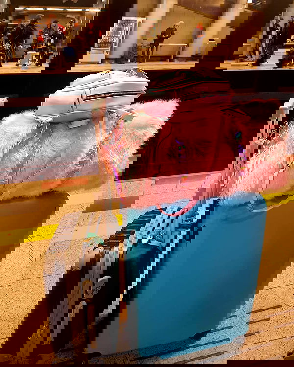 yam_adler image ~ Altpins