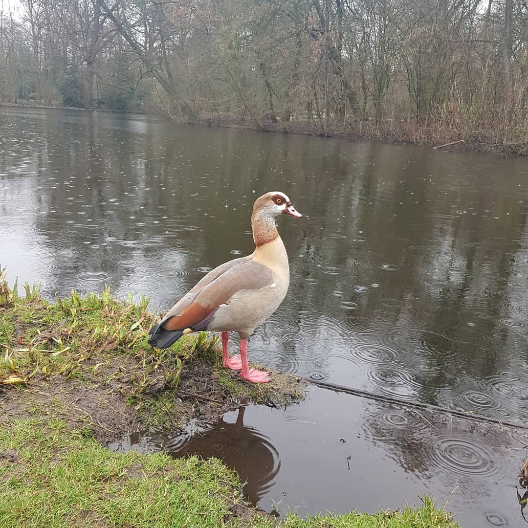 yam_adler instagram image archive image