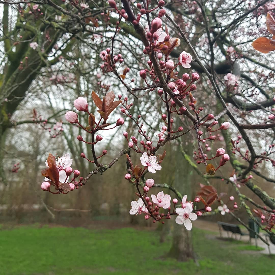 yam_adler instagram image archive image