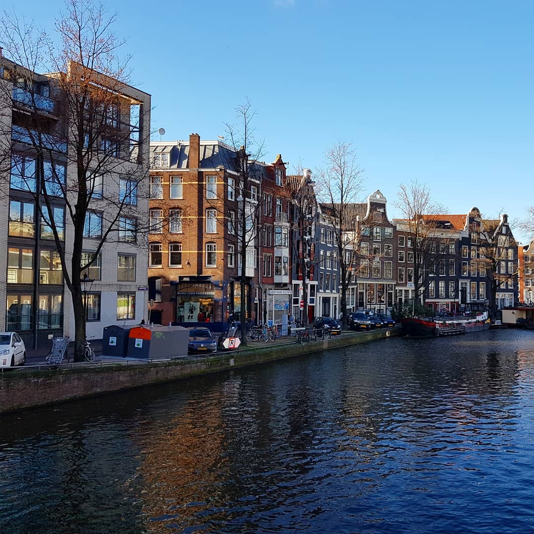 yam_adler instagram image archive image