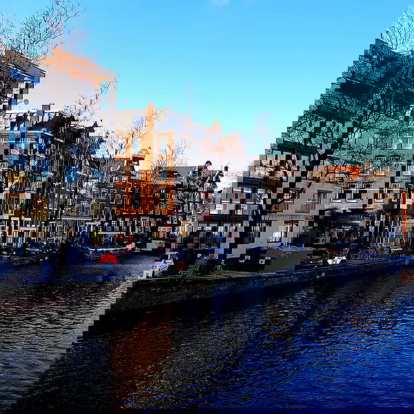 yam_adler image ~ Altpins