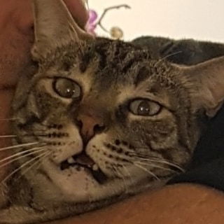 yam_adler instagram image archive image