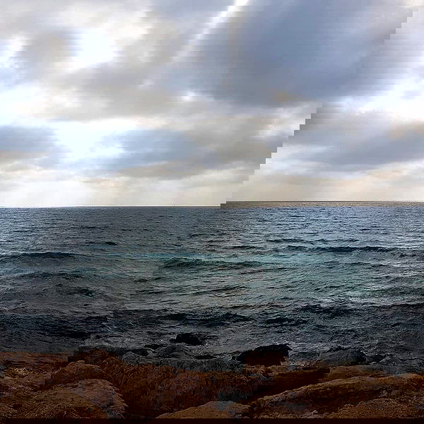 yam_adler image ~ Altpins