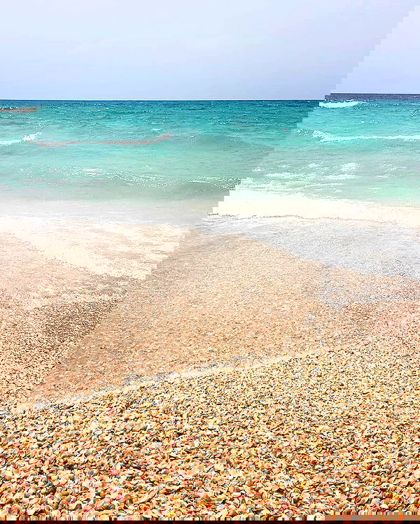 yam_adler image ~ Altpins