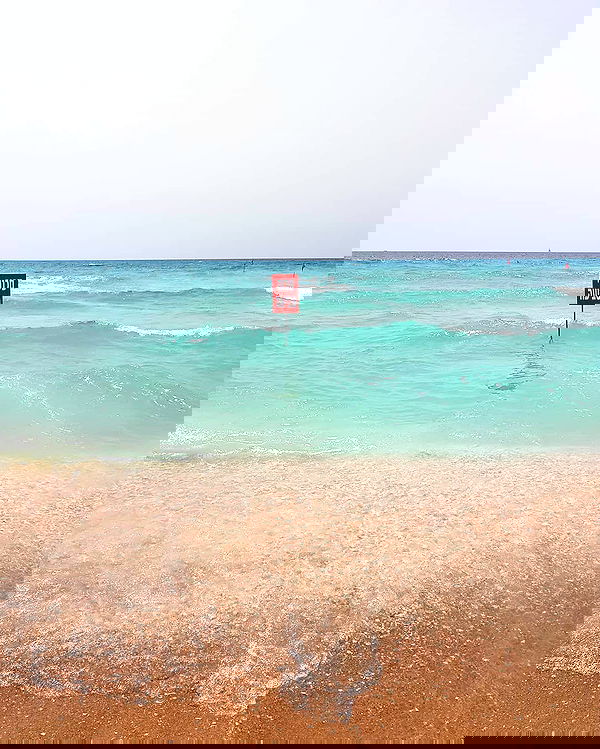 yam_adler image ~ Altpins