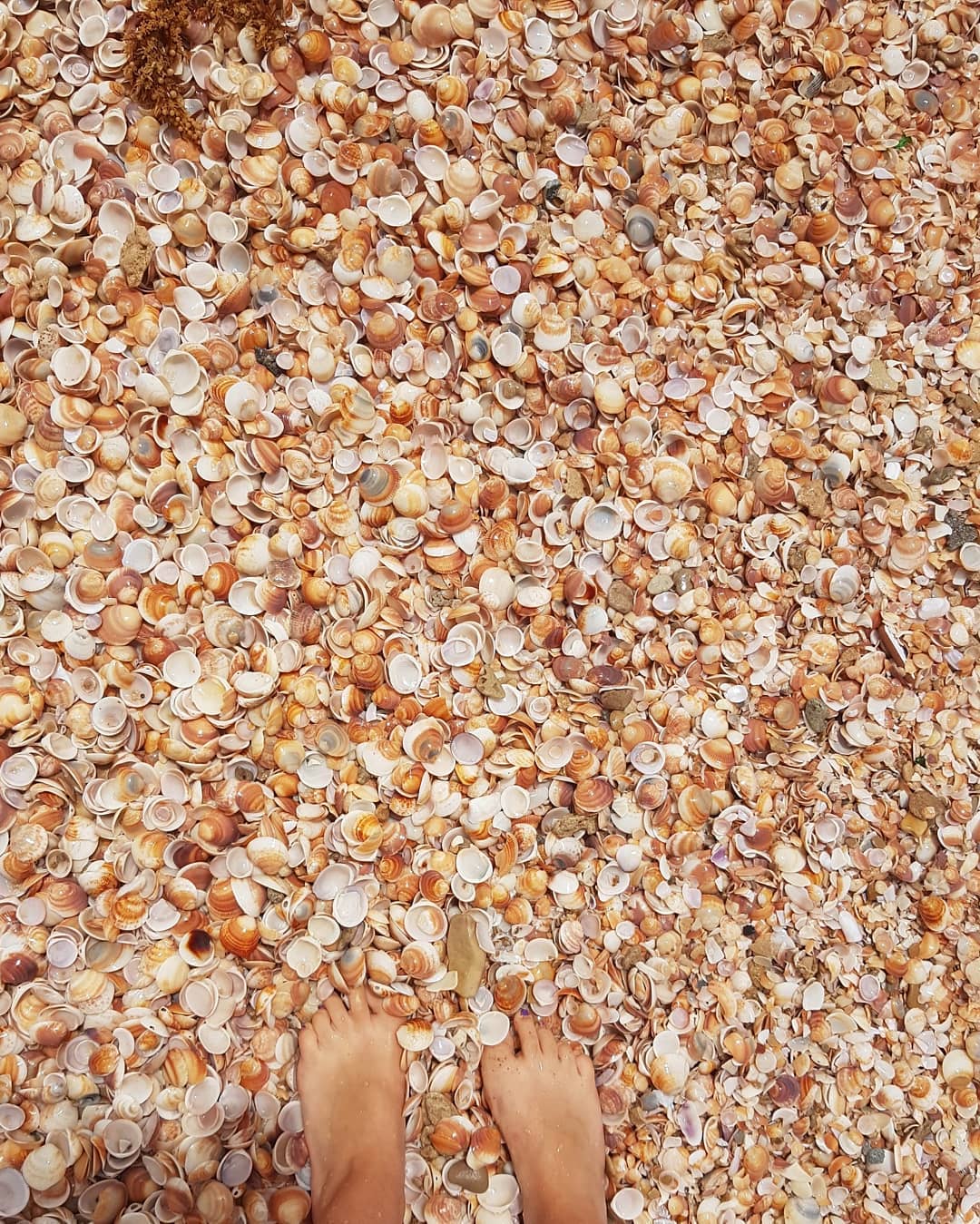 yam_adler instagram image archive image