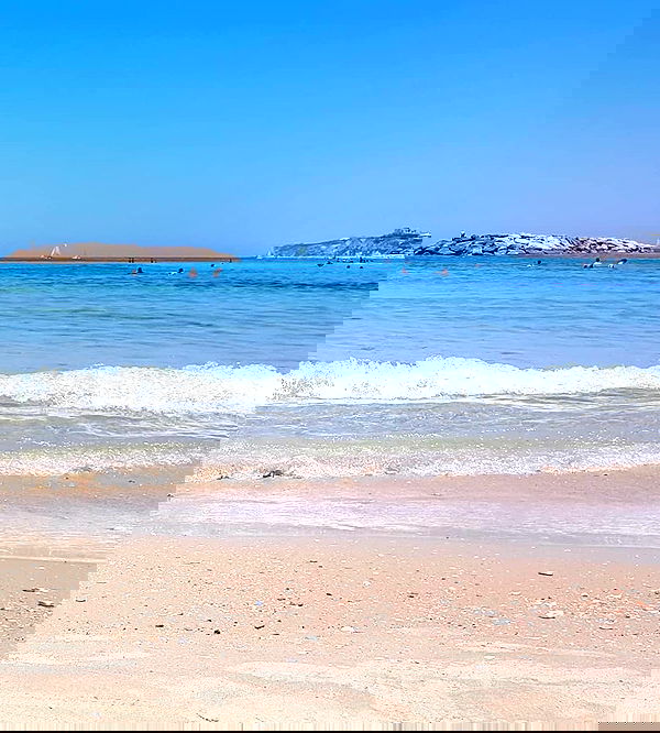 yam_adler image ~ Altpins