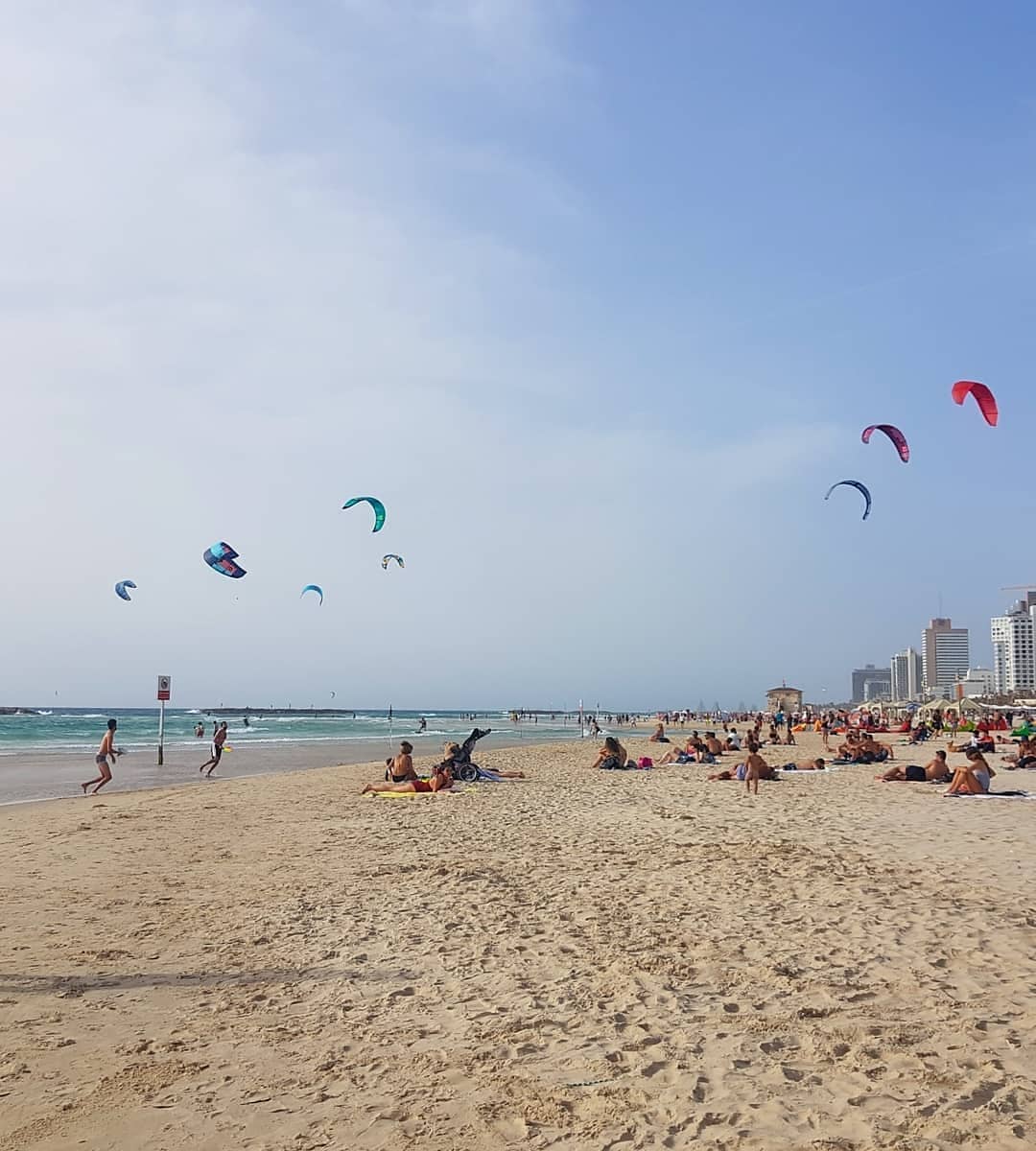 yam_adler instagram image archive image