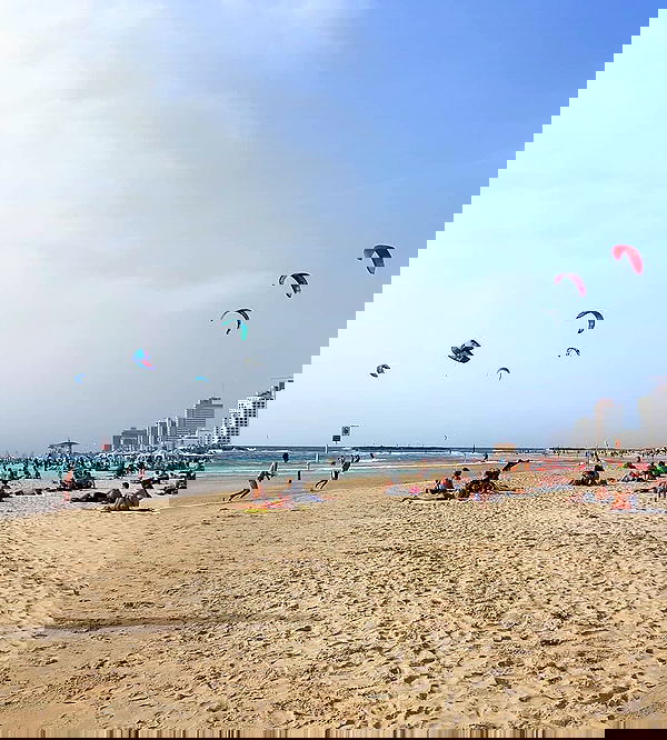 yam_adler image ~ Altpins