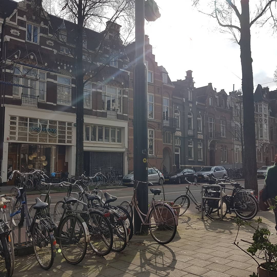 yam_adler instagram image archive image