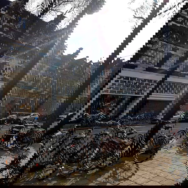 yam_adler image ~ Altpins