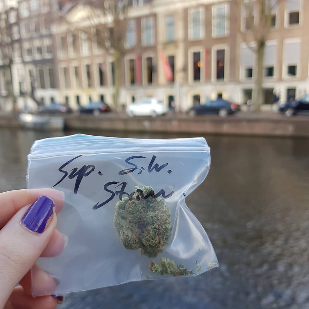 yam_adler instagram image archive image