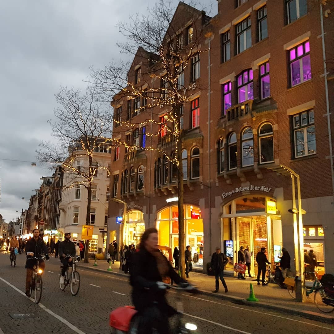 yam_adler instagram image archive image