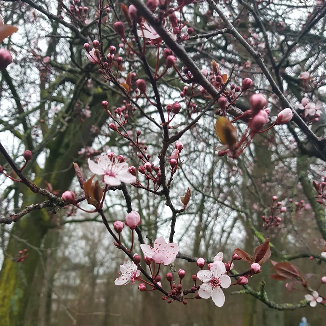 yam_adler instagram image archive image