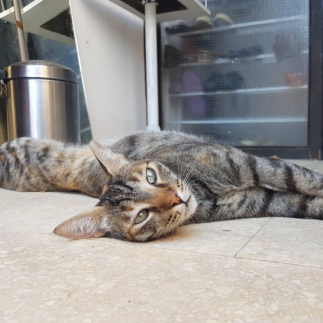 yam_adler instagram image archive image