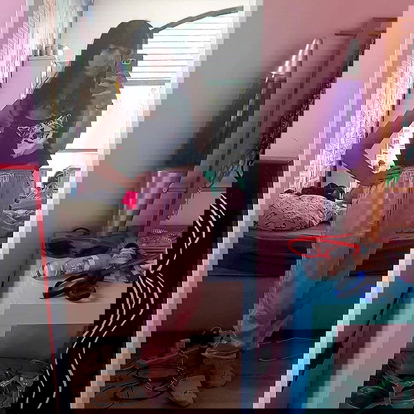 yam_adler image ~ Altpins