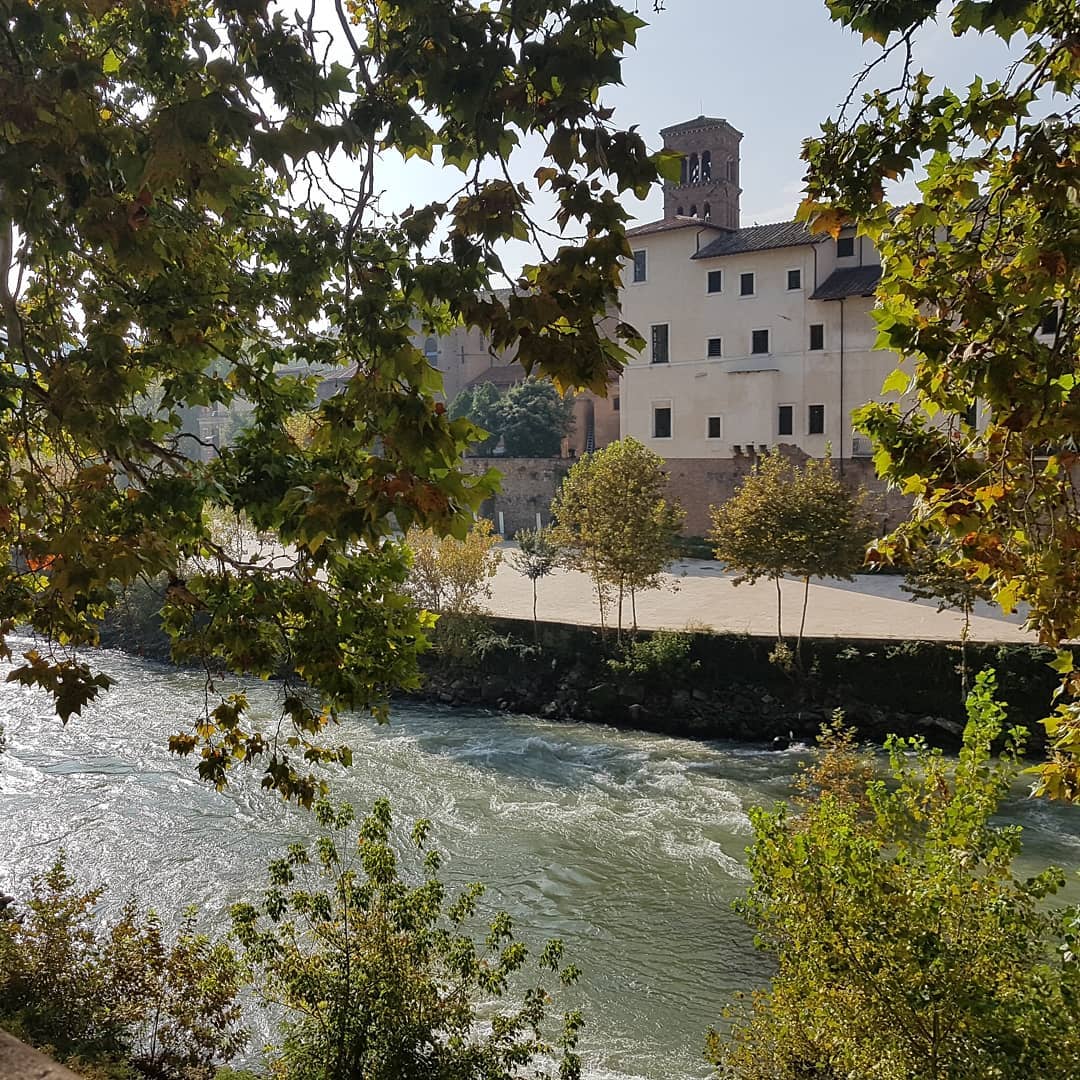 yam_adler instagram image archive image