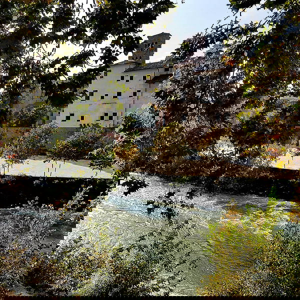 yam_adler image ~ Altpins