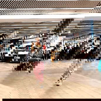 yam_adler image ~ Altpins