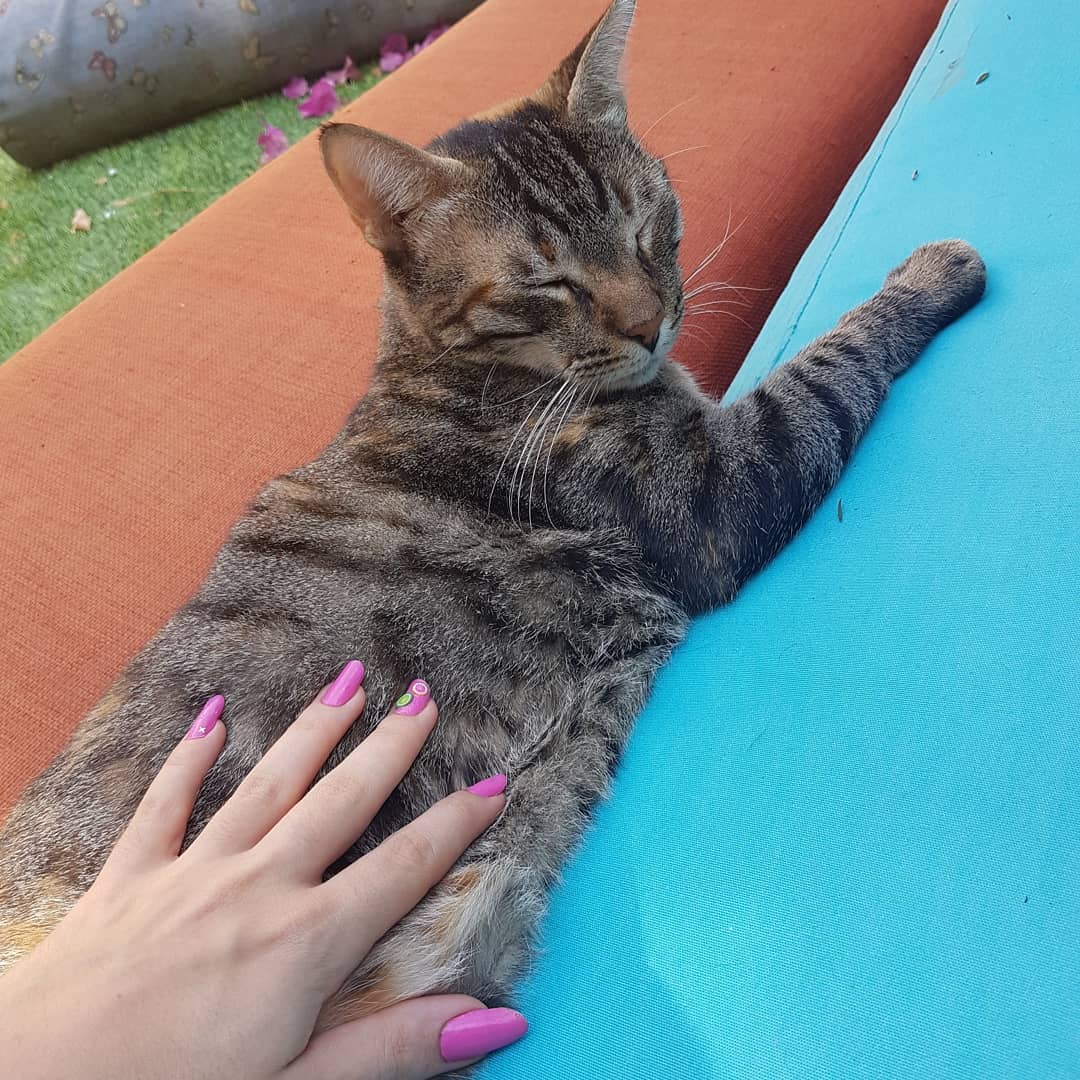 yam_adler instagram image archive image