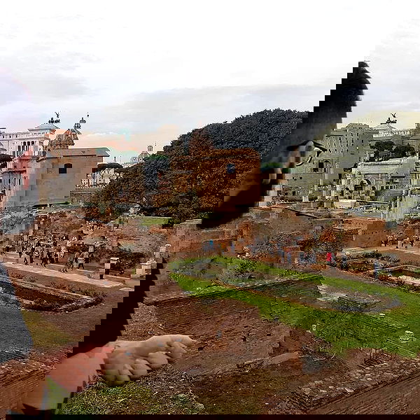 yam_adler image ~ Altpins