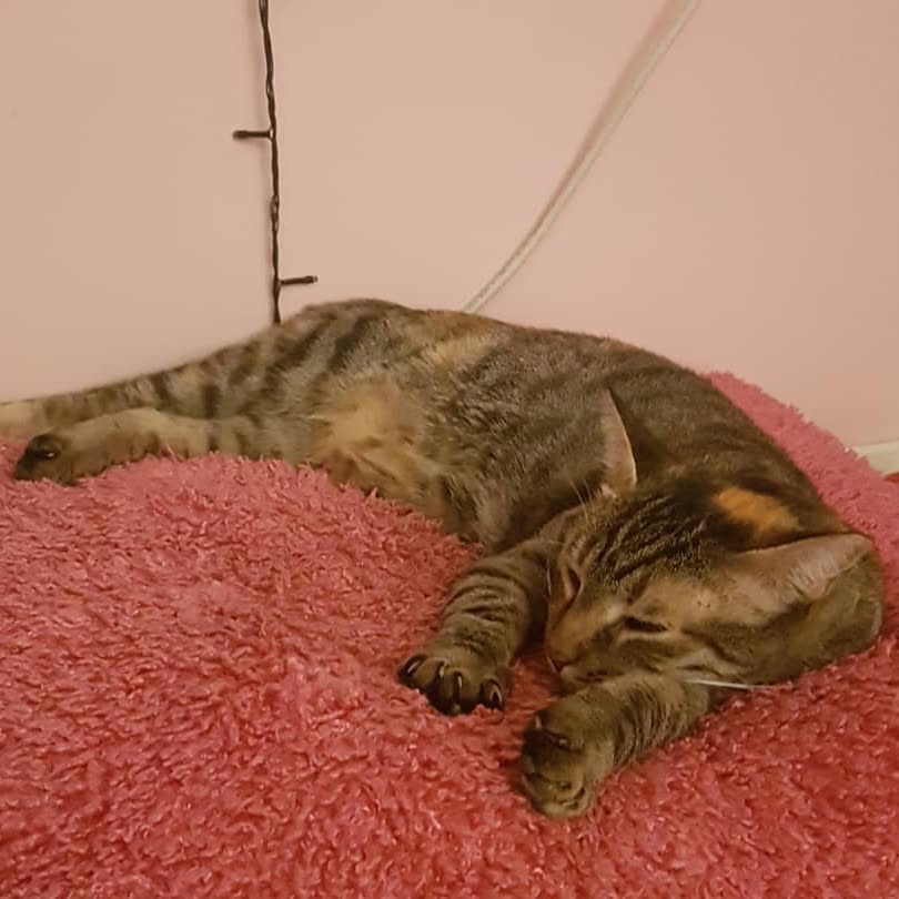 yam_adler instagram image archive image