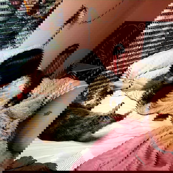 yam_adler image ~ Altpins