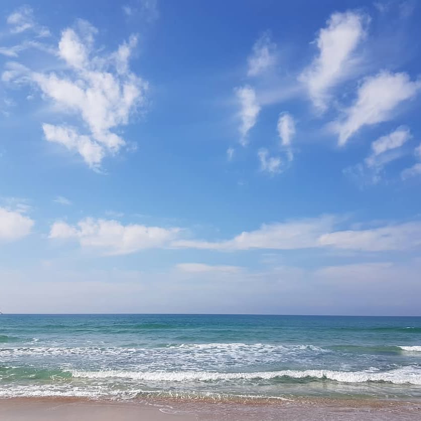 yam_adler instagram image archive image